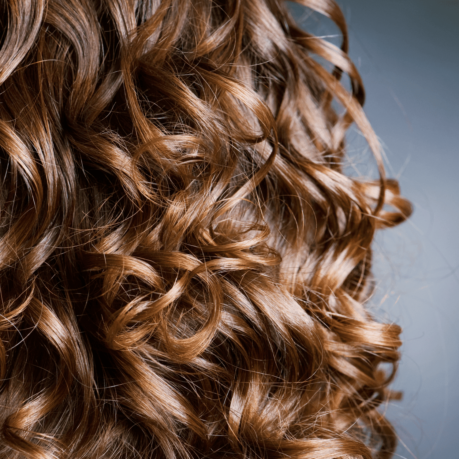 Curly auburn hair close-up, showcasing vibrant color and texture.